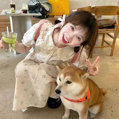 盗贴人生